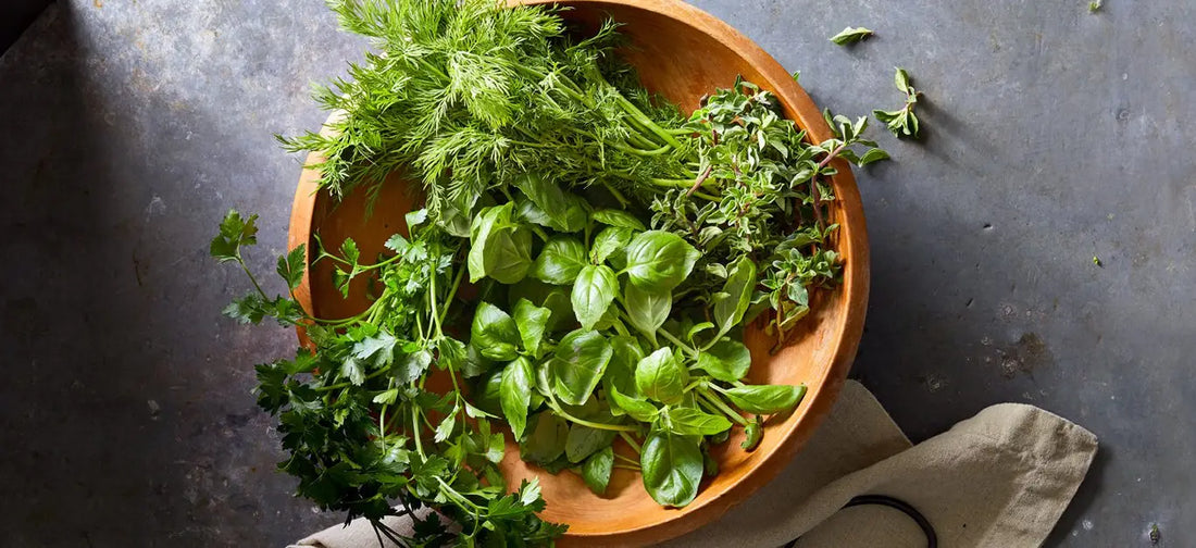 15 Herbes Faciles à Cultiver : Apportez de la vie à votre jardin et votre intérieur