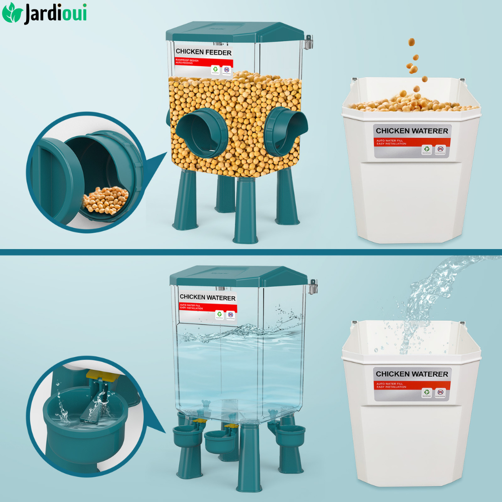 Professional Automatic Feeder for Chicken Coop