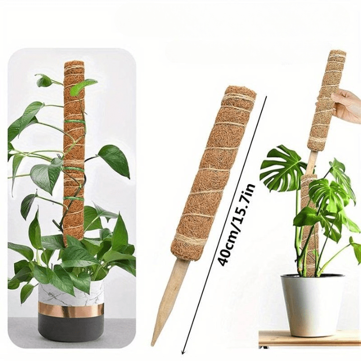 Jardioui 40cm / Une colonne Tuteur pour Plante Grimpante Robuste (+50m de Ficelle Offert)